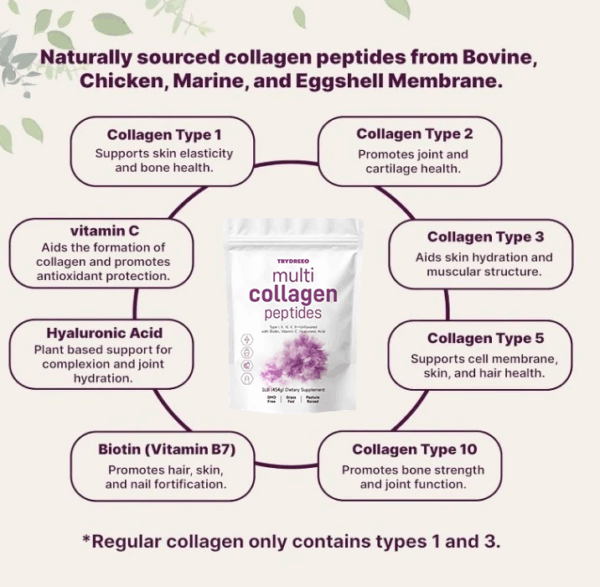 TryDreeo™ Multi Collagen Powder