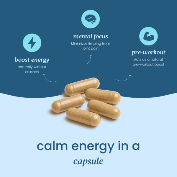TryDreeo™ yerba magic - for improved energy & mental clarity - Image 8